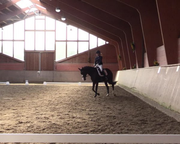 Reitturnier Dortmund-Barop 2021
