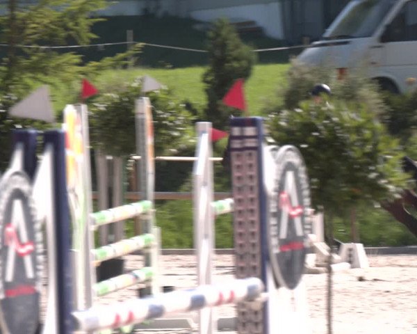 Reitturnier St. Ulrich am Pillersee 2023