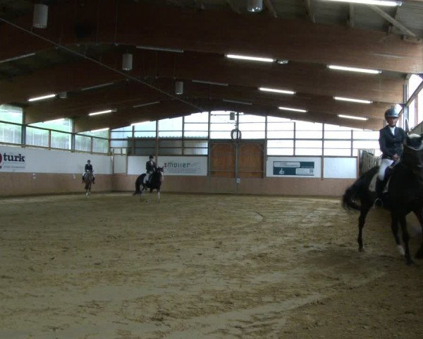 Reitturnier Meinerzhagen 2021