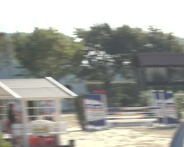 Reitturnier Osnabrück 2023