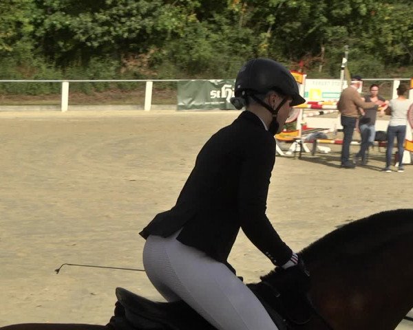Reitturnier Forst 2021