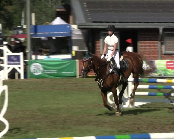 Reitturnier Münchehofe 2023