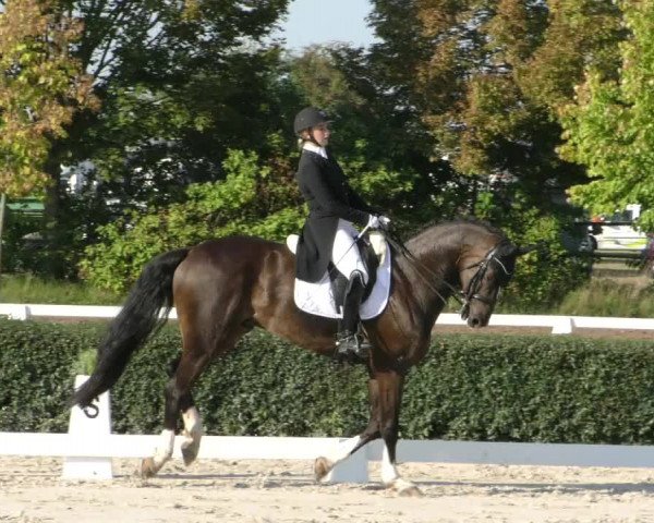 Reitturnier Westeregeln 2023