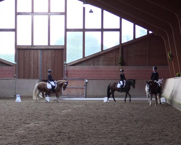 Reitturnier Dortmund-Barop 2021