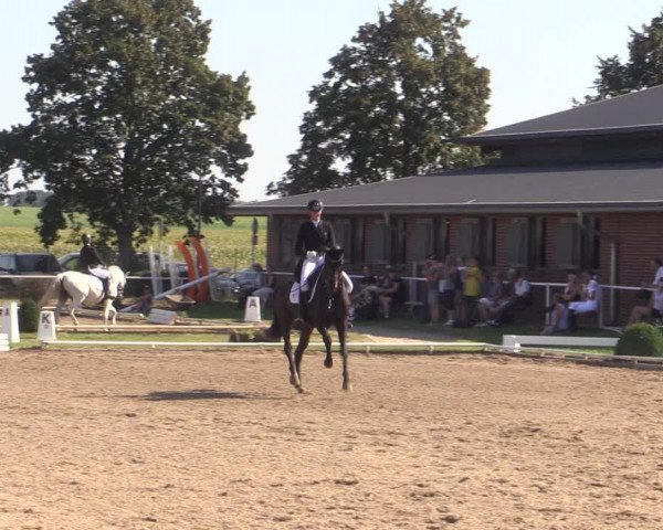 Reitturnier Münchehofe 2023