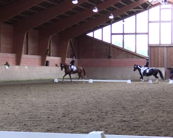 Reitturnier Dortmund-Barop 2021