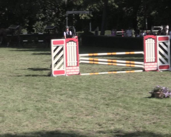 Reitturnier Westeregeln 2023