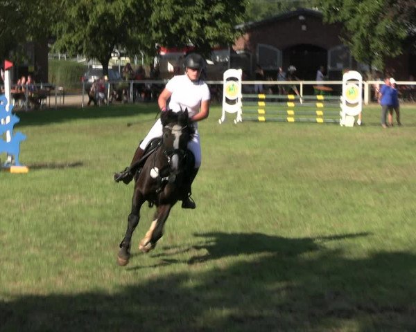 Reitturnier Münchehofe 2023