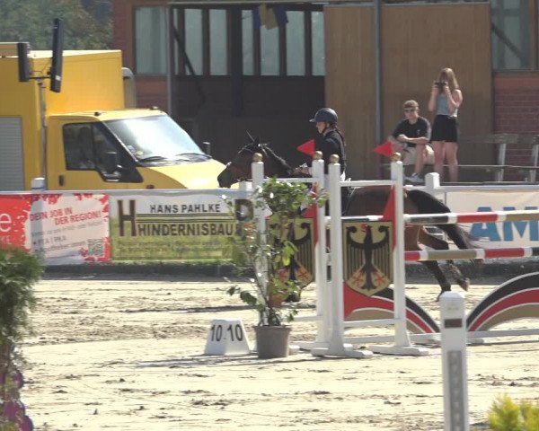Reitturnier Osnabrück 2023