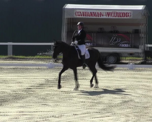 Reitturnier Bad Schmiedeberg 2023