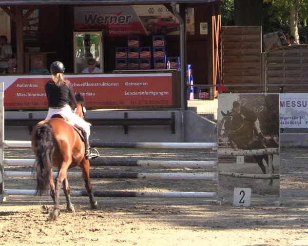 Reitturnier Langenleuba - Oberhain 2023