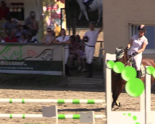 Reitturnier Langenleuba - Oberhain 2023