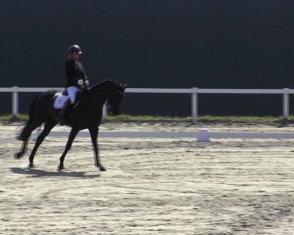Reitturnier Bad Schmiedeberg 2023