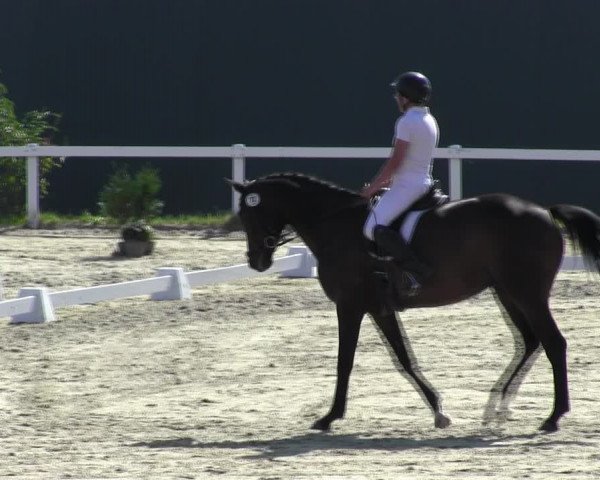 Reitturnier Bad Schmiedeberg 2023