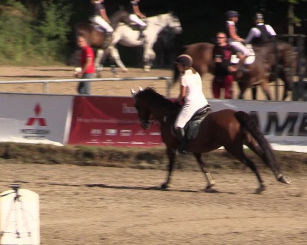 Reitturnier Langenleuba - Oberhain 2023