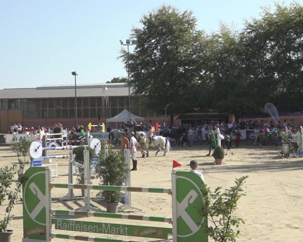 Reitturnier Osnabrück 2023