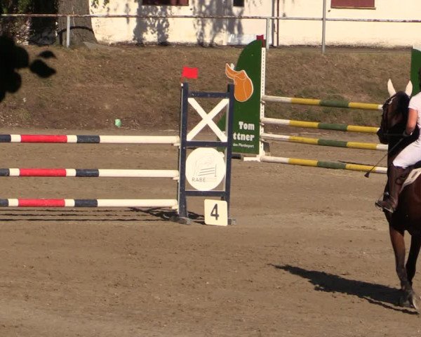 Reitturnier Langenleuba - Oberhain 2023