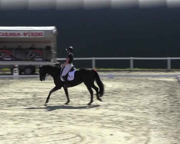 Reitturnier Bad Schmiedeberg 2023