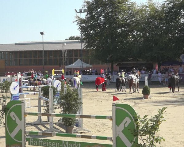 Reitturnier Osnabrück 2023