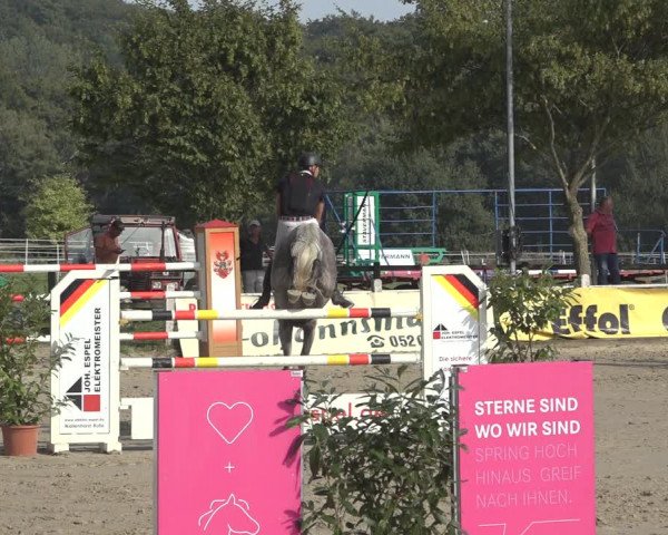 Reitturnier Osnabrück 2023