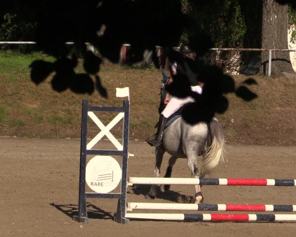 Reitturnier Langenleuba - Oberhain 2023
