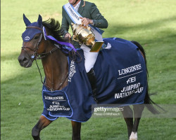 jumper Count Me In (Hanoverian, 2007, from Count Grannus)