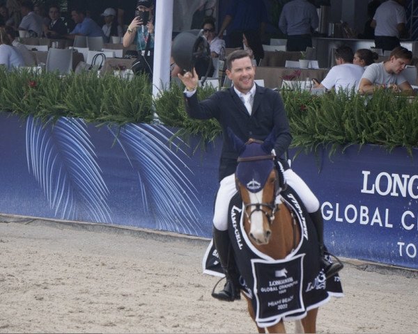 jumper Errol (British Sport Horse, 2010, from Luidam)