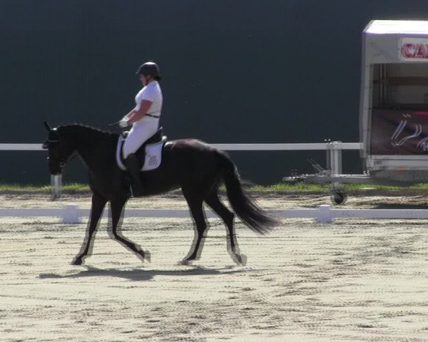 Reitturnier Bad Schmiedeberg 2023