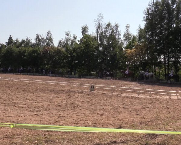Reitturnier Langenleuba - Oberhain 2023