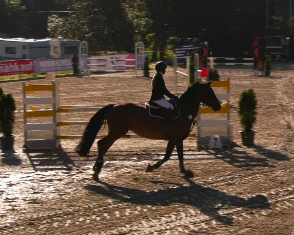 Reitturnier Bad Liebenstein/Sorga 2023
