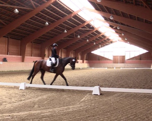 Reitturnier Dortmund-Barop 2021