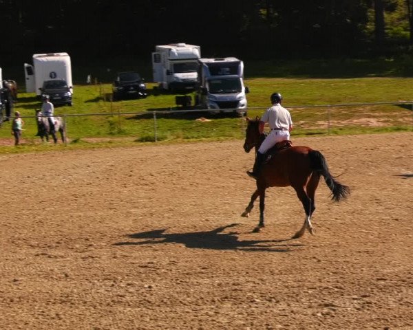 Reitturnier Bad Liebenstein/Sorga 2023