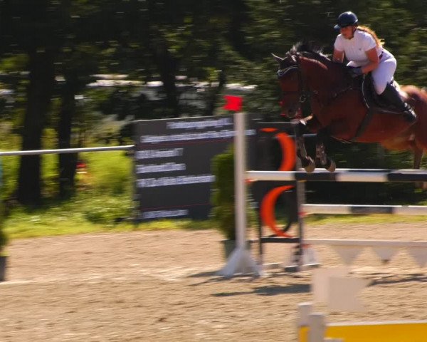Reitturnier Bad Liebenstein/Sorga 2023
