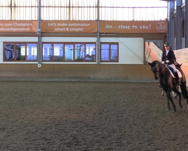 Reitturnier Appelhülsen 2023