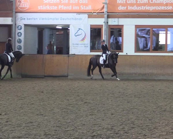 Reitturnier Appelhülsen 2023