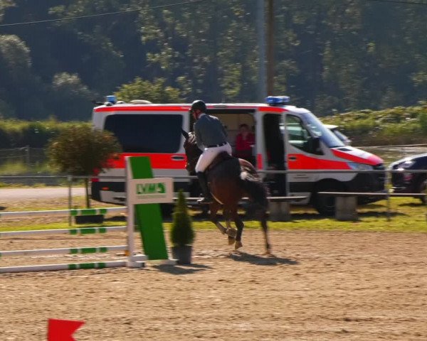 Reitturnier Bad Liebenstein/Sorga 2023