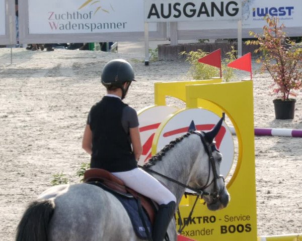 Reitturnier Winterlingen 2023