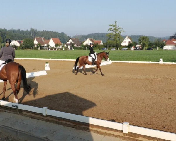Reitturnier Babenhausen 2023