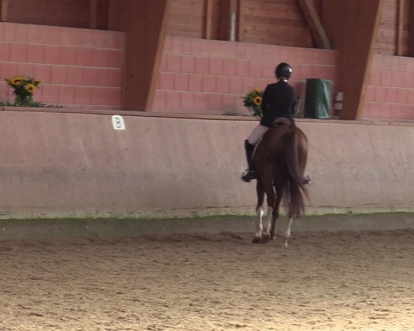 Reitturnier Dortmund-Barop 2023
