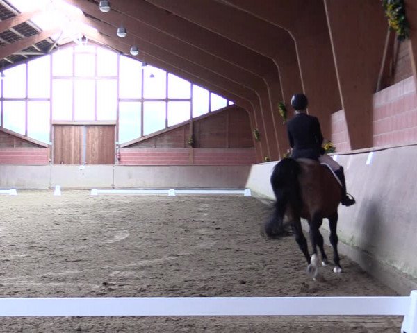 Reitturnier Dortmund-Barop 2021