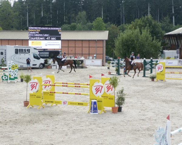 Reitturnier Winterlingen 2023