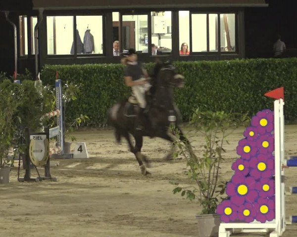 Reitturnier Osnabrück 2023