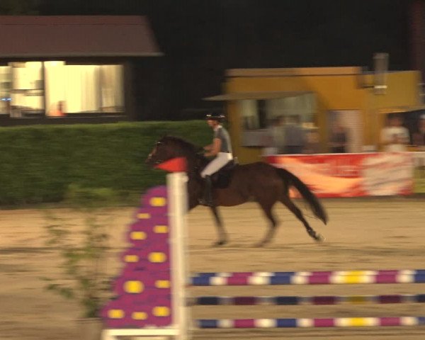 Reitturnier Osnabrück 2023