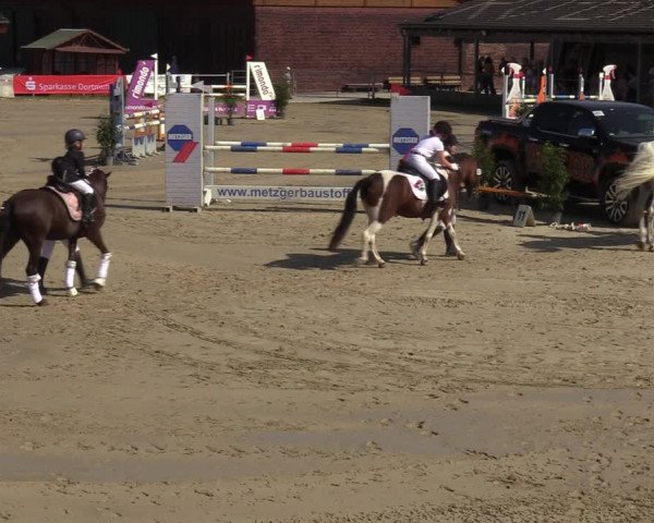 Reitturnier Dortmund-Barop 2023