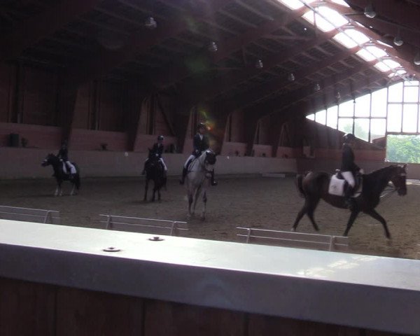 Reitturnier Dortmund-Barop 2023