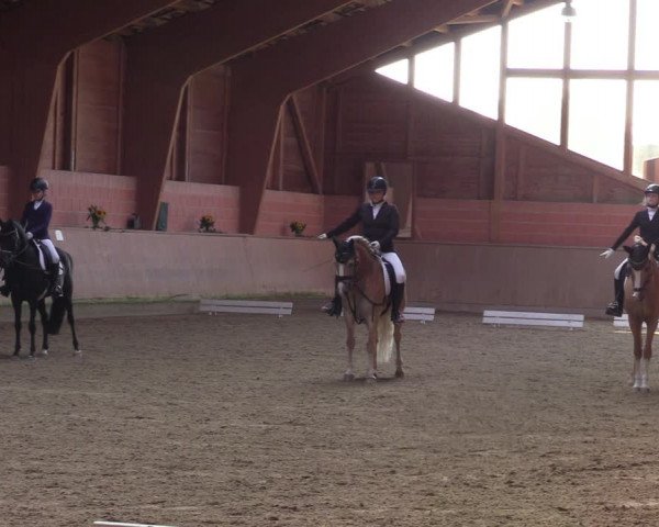 Reitturnier Dortmund-Barop 2023