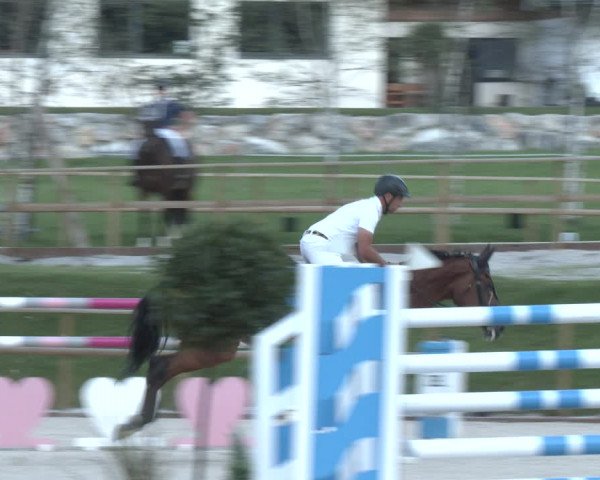 Reitturnier St. Ulrich am Pillersee 2023