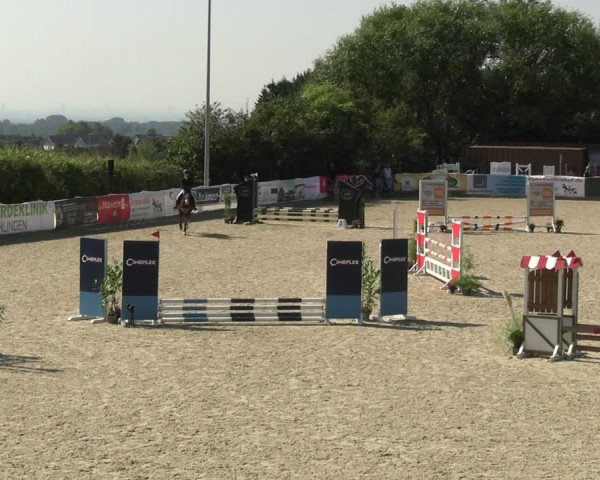 Reitturnier Leichlingen-Witzhelden 2023
