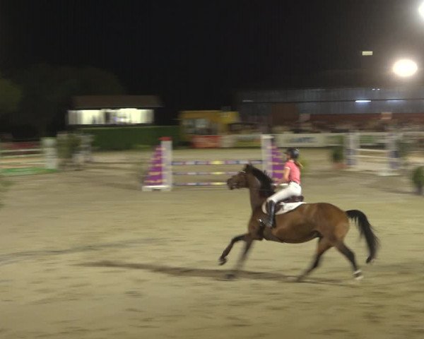 Reitturnier Osnabrück 2023