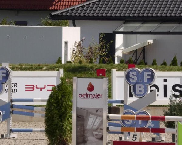Reitturnier Babenhausen 2023